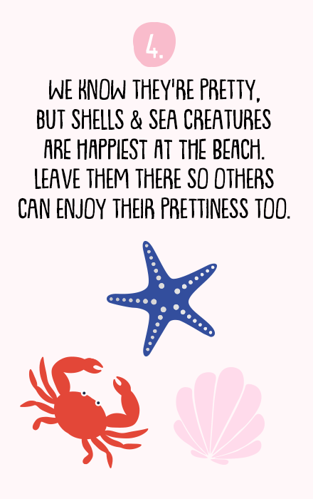 Leave shells at the beach